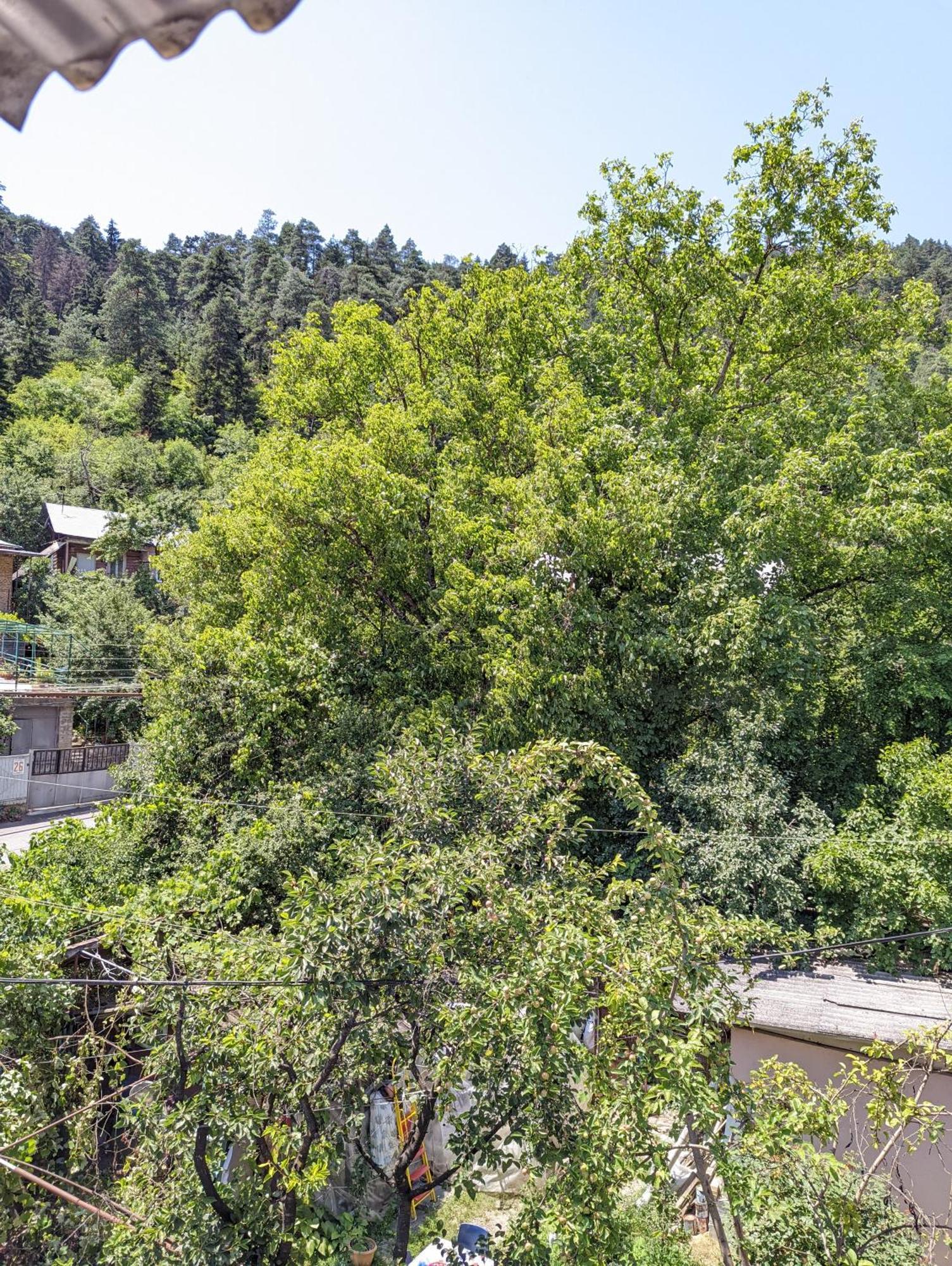 Dalko Hotel Borjomi Værelse billede