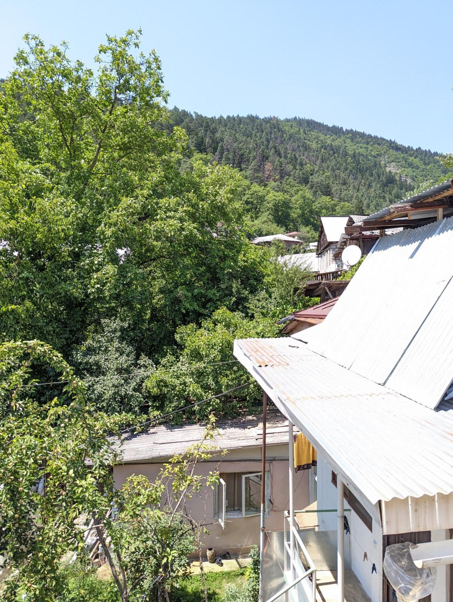 Dalko Hotel Borjomi Værelse billede