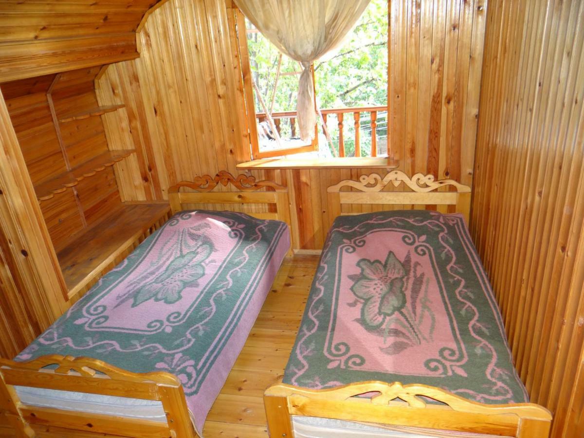 Dalko Hotel Borjomi Eksteriør billede