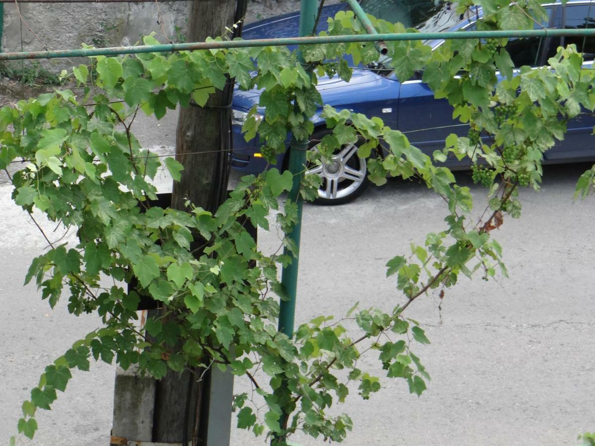 Dalko Hotel Borjomi Eksteriør billede
