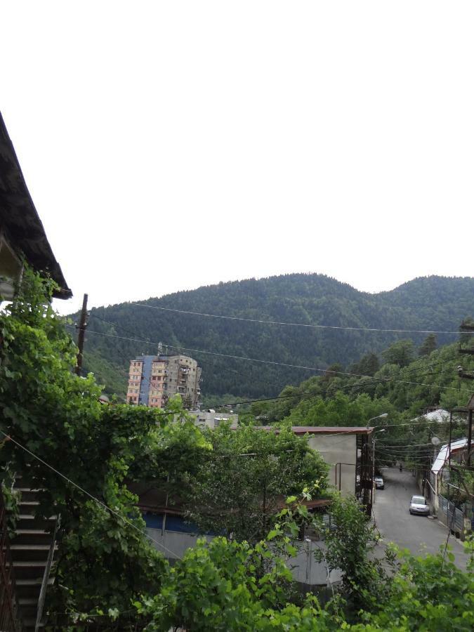 Dalko Hotel Borjomi Eksteriør billede