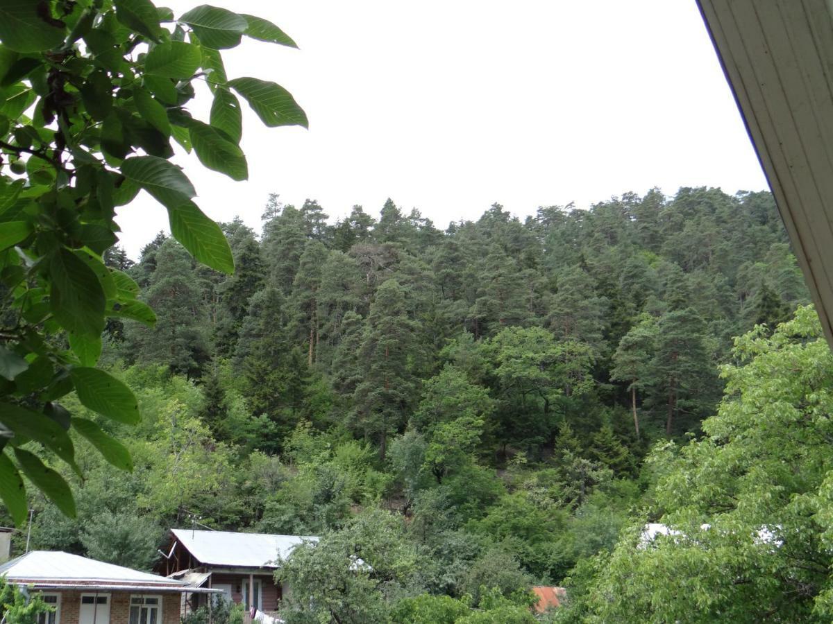 Dalko Hotel Borjomi Eksteriør billede
