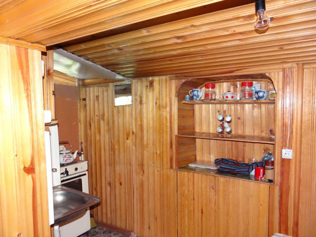 Dalko Hotel Borjomi Eksteriør billede