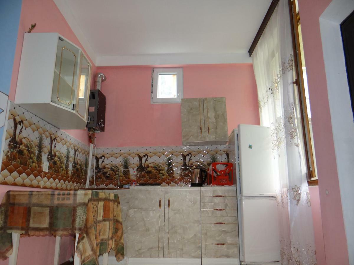 Dalko Hotel Borjomi Eksteriør billede