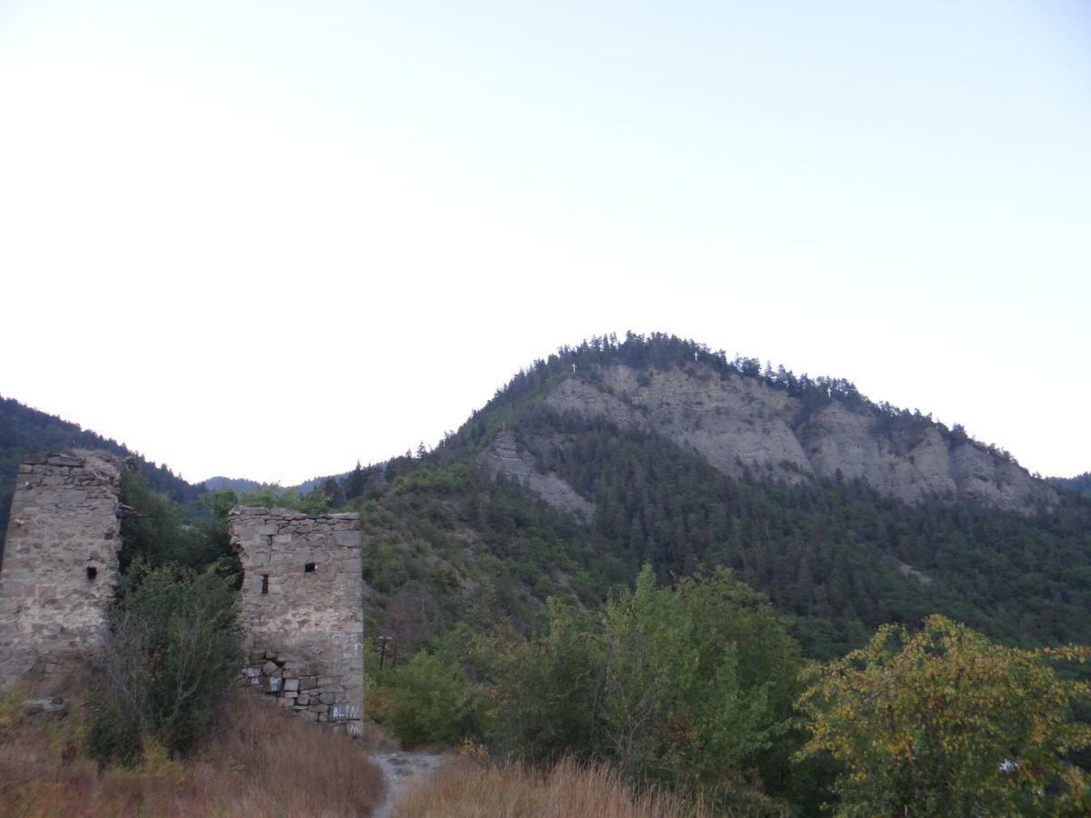 Dalko Hotel Borjomi Eksteriør billede